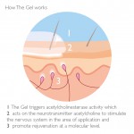 The Gel - 125ml